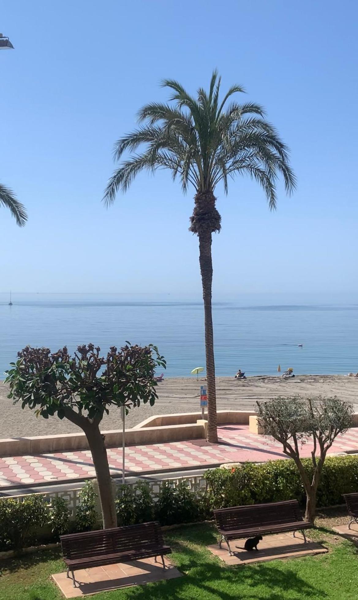 Brisas Del Mar Mediterraneo Aguadulce  Zewnętrze zdjęcie